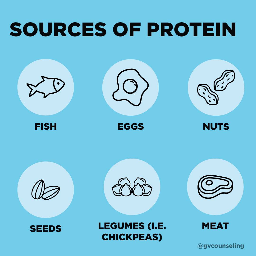 Sources of Protein